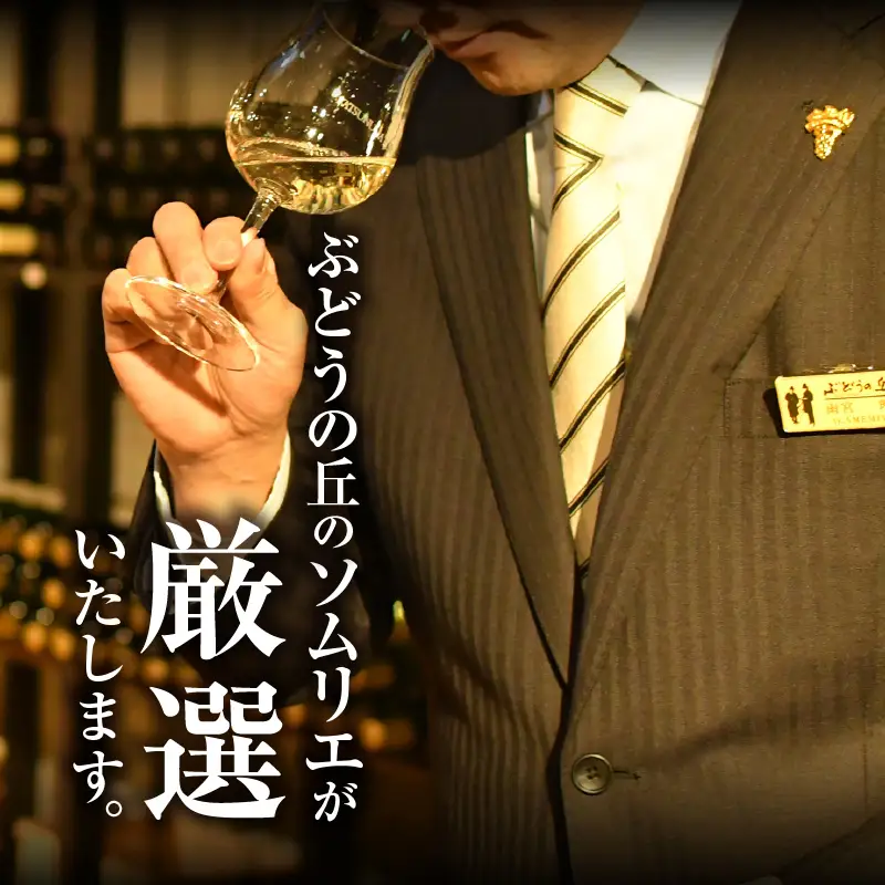 ワイン 勝沼ぶどうの丘推奨ワイン シ－ズンオリジナル12本セット（KBO）G-602