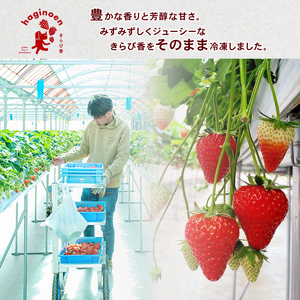 冷凍 いちご 1kg  完熟 きらぴ香  萩埜園 牧之原市 静岡