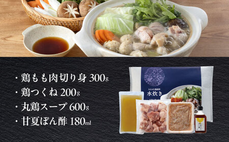 むなかた鶏使用　水炊き2人前 [ABEQ027]