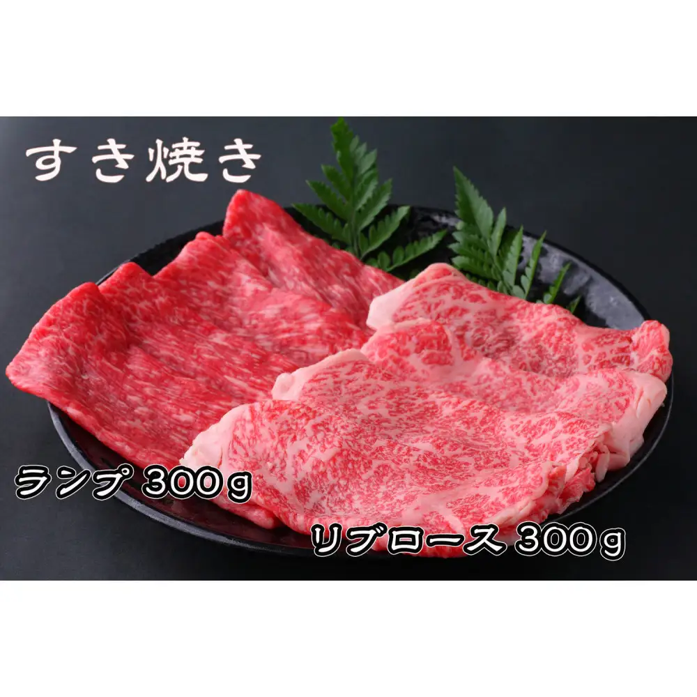 ＜定期便3回＞ A5等級神戸牛 極上2種食べ比べコース【神戸ぐりる工房】（隔月でお届け）