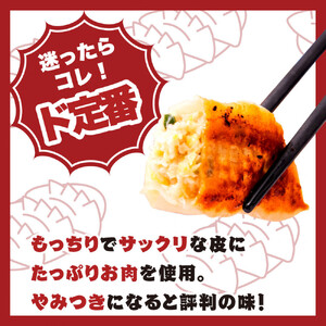 【大阪名物】大阪ふくちぁん餃子 冷凍生餃子 餃子食べ比べ3種類セット