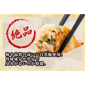 【大阪名物】大阪ふくちぁん黒豚餃子 冷凍生餃子 108個 ［36個入×3セット］