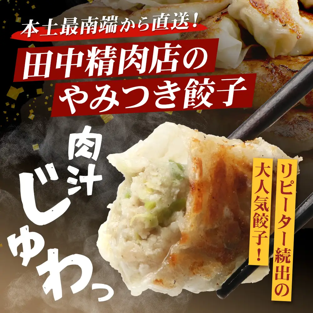 《リピーター続出！》佐多の田中肉屋 ニンニクたっぷりやみつき餃子 240個（12個入り×20パック） 餃子のタレ3本付き TA-2 | ぎょうざ 餃子 ギョウザ 豚肉 ひき肉 にんにく スタミナ餃子 焼くだけ 簡単 小分け 大容量 手作り お惣菜 おかず 冷凍 鹿児島県 南大隅町 田中精肉店