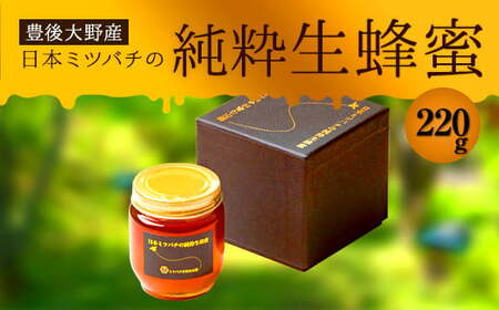 025-763x2 【TV番組で紹介されました】 日本ミツバチ の 純粋 生蜂蜜 220g ハチミツ はちみつ 国産 生はちみつ 【2025年11月下旬より順次発送予定】