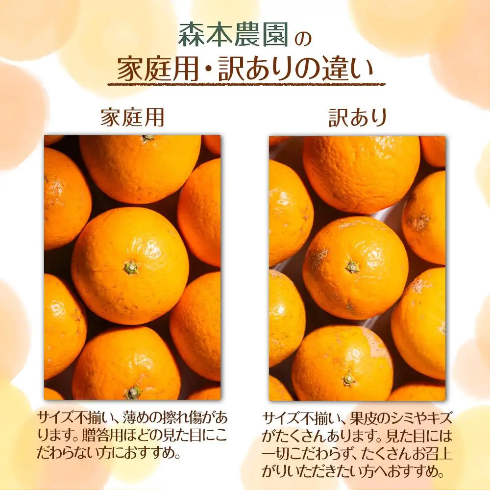 訳あり 森本農園の手選別 大玉清見オレンジ 約9kg 和歌山県産 2L~4Lサイズ混合 ［北海道・沖縄・離島配送不可］［2026年2月上旬から5月中旬頃順次発送予定］［RN104］