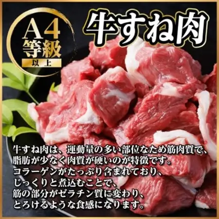 飛騨牛 厳選牛すね肉(スネ肉) 角切り 3kg(500g×6) 訳あり【配送不可地域：離島】【1650028】