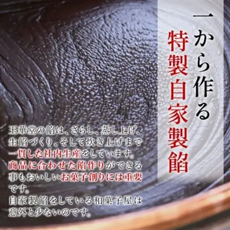 どら焼き 掌(たなごころ) 10個入【1649301】