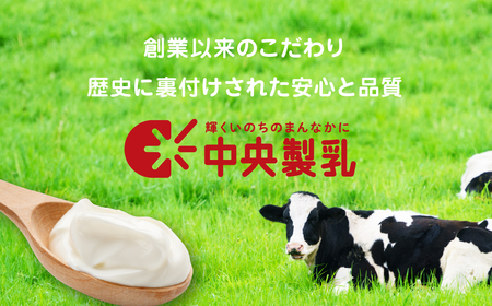 ヨーグルト 2p 10個セットヨーグルト 中央製乳