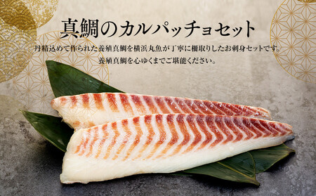 お刺身用・真鯛のカルパッチョセット AOZ0003