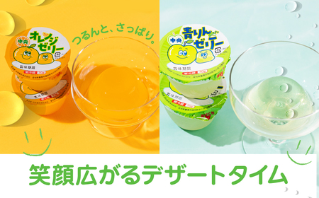 オレンジゼリー3p 6個セット ゼリー 中央製乳