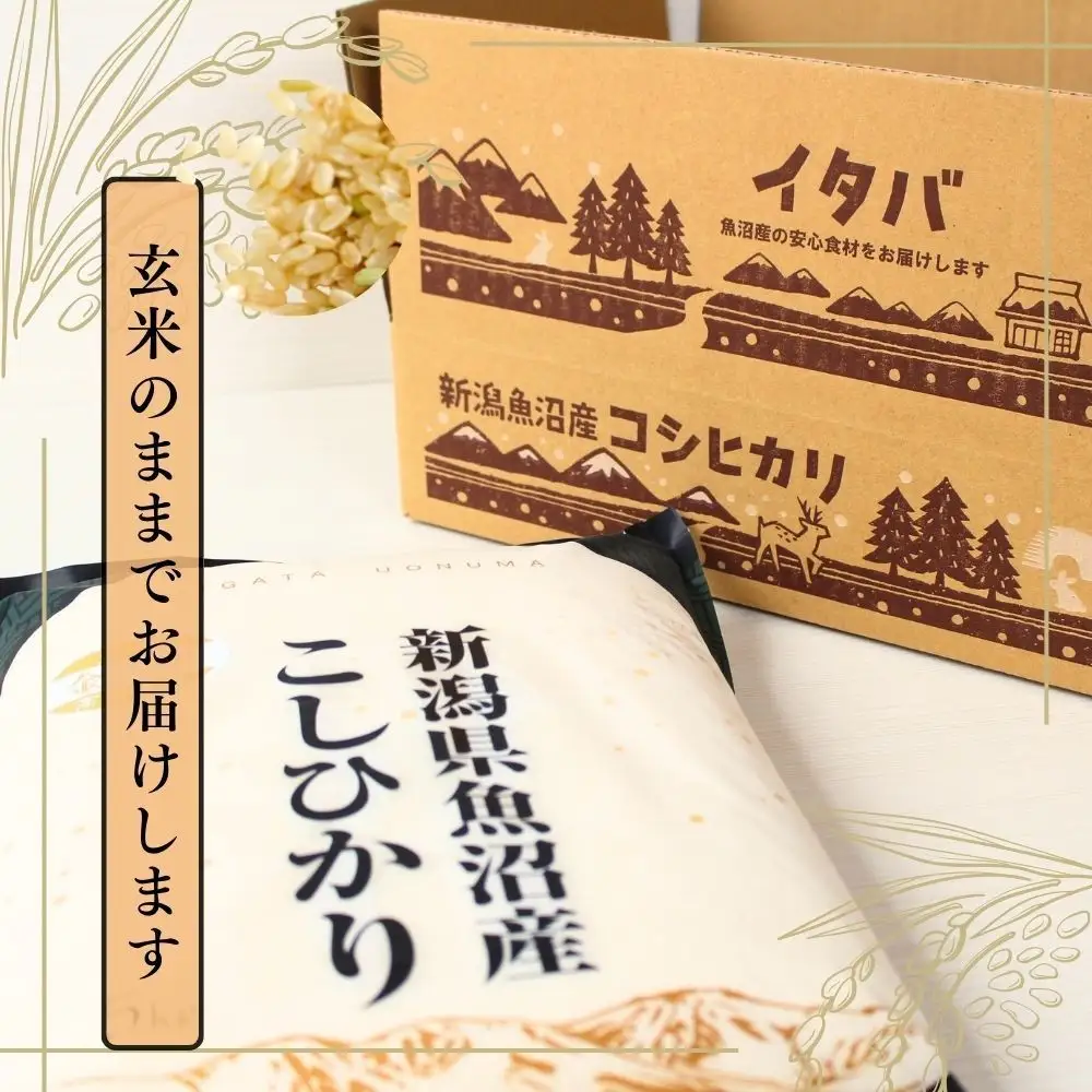 魚沼産コシヒカリ 金印 高食味米 玄米 5kg 有限会社イタバ |津南町 魚沼 令和7年