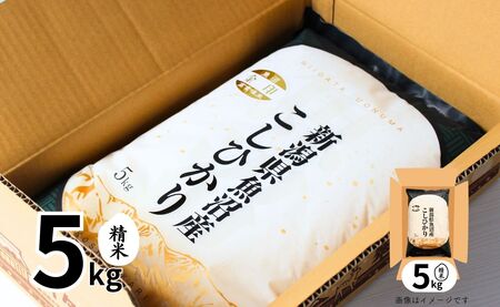 3ヶ月定期便 魚沼産コシヒカリ 金印 高食味米 5kg 有限会社イタバ |津南町 魚沼 令和7年