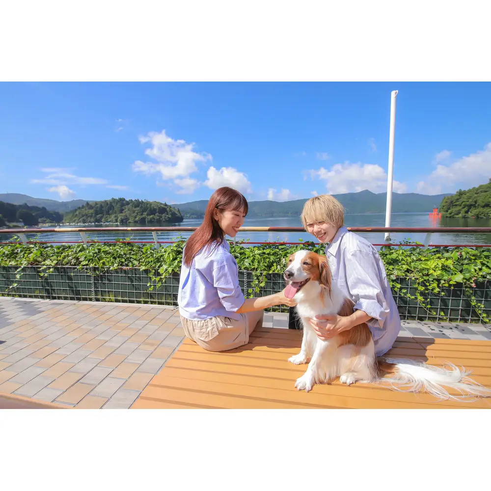 芦ノ湖遊覧船　1日フリー乗車券＋ワンちゃん2匹まで［チケットチケット］