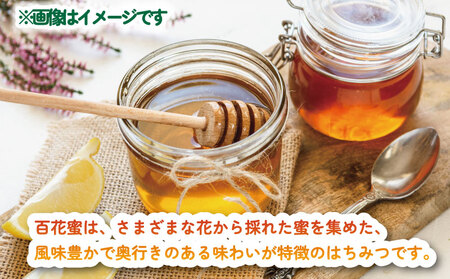国産はちみつ 百花蜜 160g × 3個 セット 宇和島農産 純国産はちみつ 瓶 蜜 人気ハチミツ 国産純粋はちみつ 非加熱 はちみつ 蜂蜜 ハニー 百花蜂蜜 百花はちみつ 純粋はちみつ 生はちみつ 天然はちみつ 産地直送 国産 愛媛 宇和島 F012-132007