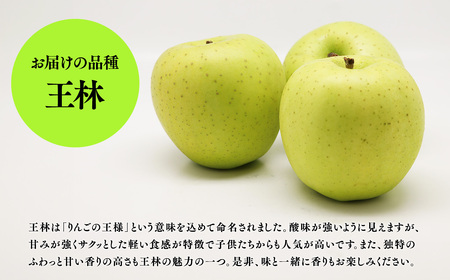 【レビューキャンペーン】【5～6月発送】青森県産 訳あり 家庭用 甚八りんご 王林 3kg クール便【マルジンサンアップル】青森 青森県産 平川 りんご リンゴ 林檎 くだもの 果物 フルーツ【hi-0058-016-0506】