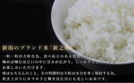 12ヶ月定期便 中魚沼産「新之助(しんのすけ)」5kg 有限会社イタバ |津南町 魚沼 令和7年