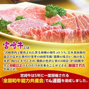 宮崎牛・肩ロース N023-YZC202