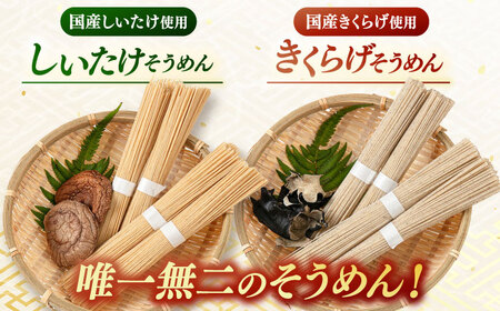 しいたけ素麺ときくらげ麺のセット（各2食分） ADBA017 素麺 そうめん 人気
