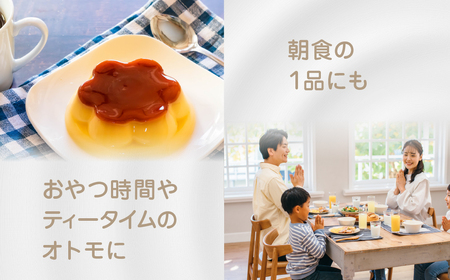 プリン3p 6個セット プリン 中央製乳