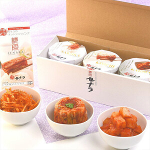 本格キムチ3点 詰め合わせセット　【11100-1608】