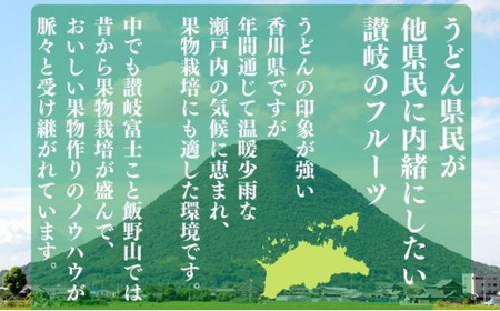 小原紅早生みかん 約2.4kg L~Sサイズ 常温 先行予約