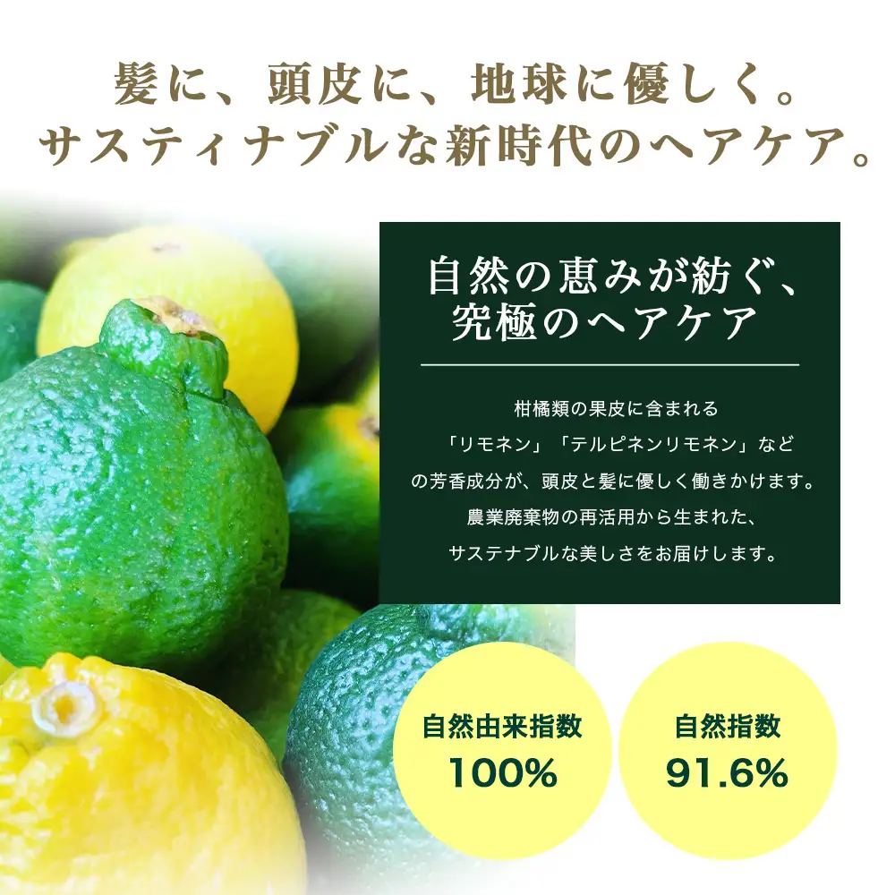 シトラス スカルプ＆ヘアローション（100ml×1個） BF-3｜美容 ヘアケア スカルプ シトラス 南大隅町 髪 潤い ハリ 弾力 柑橘 天然 キューティクル ボタニカノン BOTANICANON ケミカルフリー 鹿児島県 南大隅町 ボタニカルファクトリー