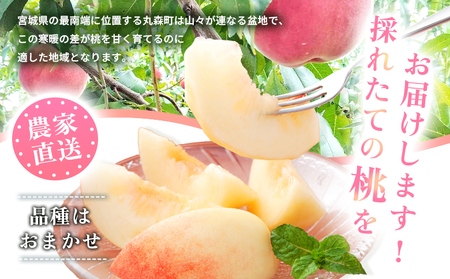 【先行予約】《7月中旬～9月中旬出荷》 宮城県丸森町産 桃 5～8玉（約2kg）【4800401】