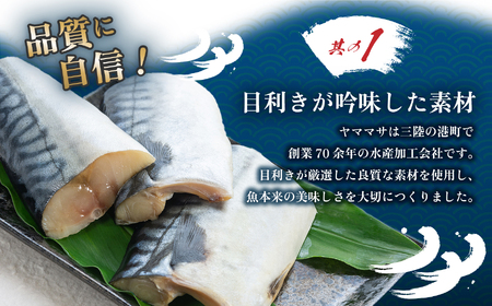 サバ 訳あり 塩さば 切り身 500g