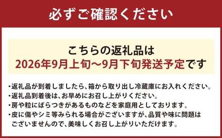 岡山県産 シャインマスカット 家庭用 約2kg マスカット ぶどう ブドウ 葡萄 果物 フルーツ 岡山県 倉敷市【2026年9月上旬～9月下旬まで順次発送予定】