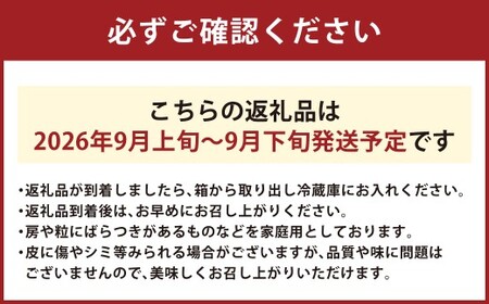 岡山県産 シャインマスカット 家庭用 約5kg マスカット ぶどう ブドウ 葡萄 果物 フルーツ 岡山県 倉敷市【2026年9月上旬～9月下旬まで順次発送予定】