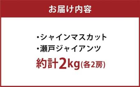 岡山県産ぶどう2種（シャインマスカット+瀬戸ジャイアンツ）家庭用 約2kg ぶどう ブドウ 葡萄 果物 フルーツ 岡山県 倉敷市【2026年9月上旬～9月下旬まで順次発送予定】