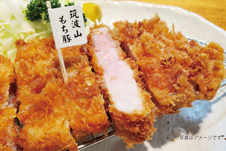 【楽ちん 冷凍とんかつ・牛かつ】悩む必要なし。いばらきの恵み詰合せスタンダード（ローズポークロースかつ×1、筑波山もち豚ロースかつ×1、筑波山もち豚ミルフィーユかつ×2、茨城メンチかつ×2）_BL032