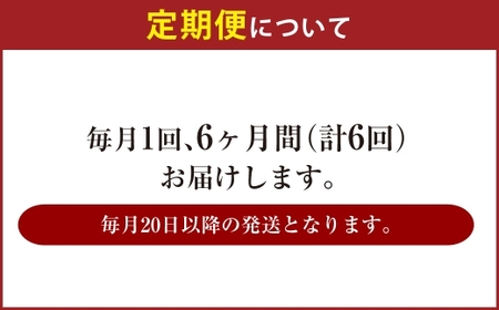【6ヶ月定期便】アサヒ 生ビール マルエフ（合計144本）500ml×毎月1ケース（24本）=計6回お届け