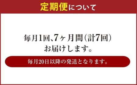 【7ヶ月定期便】アサヒ 生ビール マルエフ（合計168本）500ml×毎月1ケース（24本）=計7回お届け