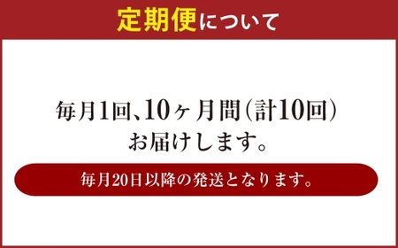 【10ヶ月定期便】アサヒ 生ビール マルエフ（合計240本）500ml×毎月1ケース（24本）=計10回お届け