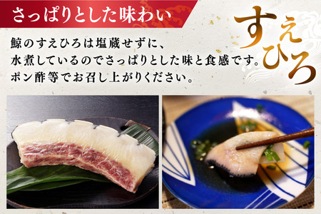 BJ144 すえひろ ブロック 100g×5個セット 計500g [ 長崎県 島原市 ]