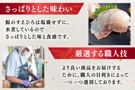 BJ143 すえひろ スライス 100g×5個セット 計500g [ 長崎県 島原市 ]