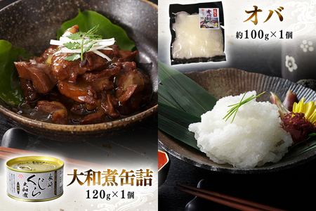 BJ154 美味しい 鯨 5種詰め合わせAセット 計520g( 大和煮 オバ ベーコンブロック 湯かけくじら さえずりブロック )[ 長崎県 島原市 ]