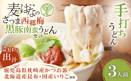 麦のはな の さつま西郷梅黒豚南蛮うどん セット K071-006