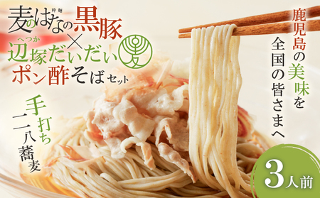 麦のはな の 黒豚 × 辺塚だいだいポン酢 そば セット【3人前】 K071-008 冷凍
