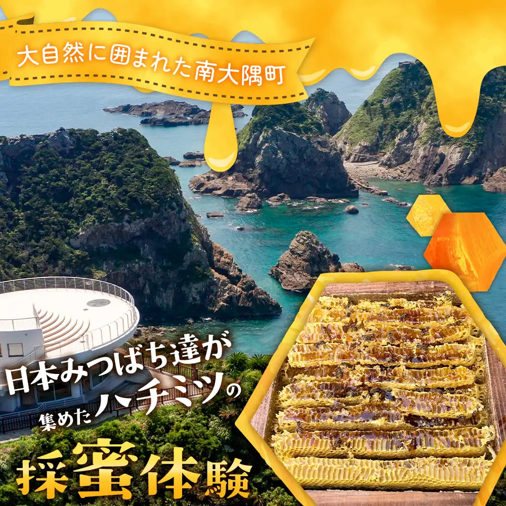 【期間限定】数量限定！『本土最南端で採蜜体験』大人1名（中学生以上） CC7001｜はちみつ 採蜜 体験 人気 養蜂 日本 みつばち 研究会 鹿児島県 南大隅町
