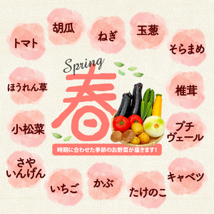 【厳選】 野菜セット 1回 野菜