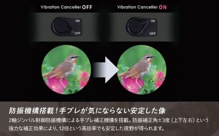 防振双眼鏡 ビクセン ATERAII H12x30 チャコール | 双眼鏡 アテラ vixen FN-Limited-PR