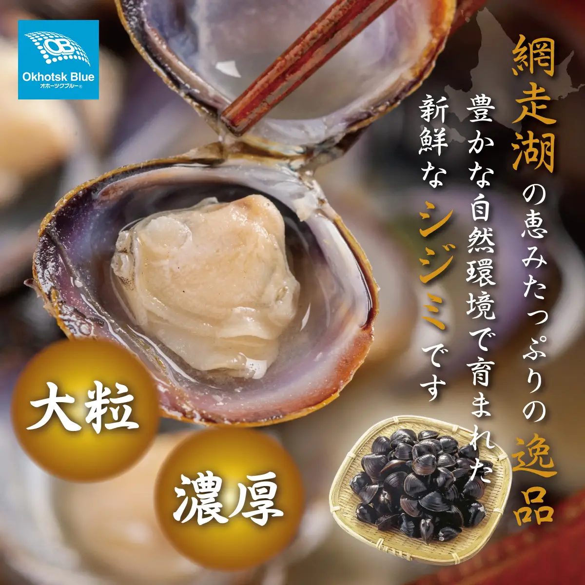 北海道網走湖産 ヤマトシジミ（600g × 2P）  ABN002