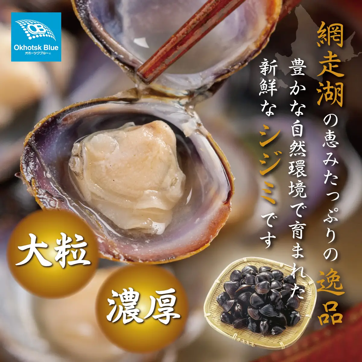 北海道網走湖産 ヤマトシジミ（600g × 4P） ABN003