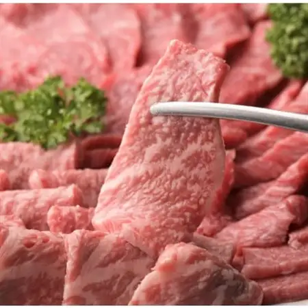 【毎月定期便】おおいたブランド肉定期便(つけダレ、ステーキソース付き)全6回【配送不可地域：離島】【4071446】