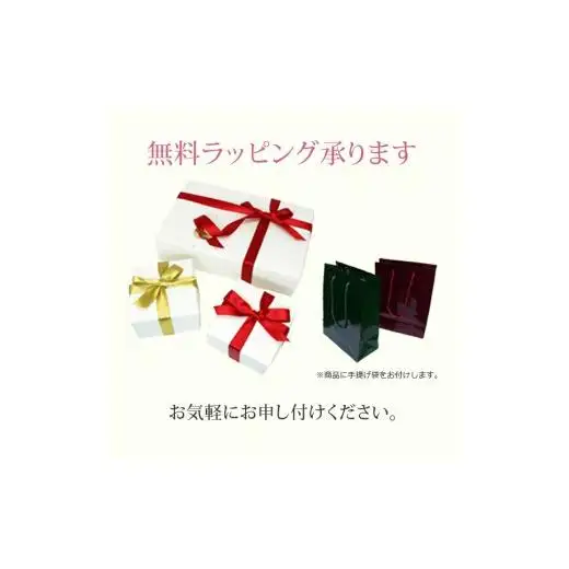 シルバー　キュービック　ペンダントネックレス　57?51304　【111-008】