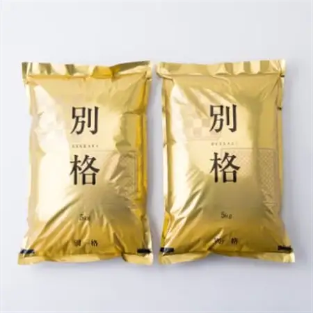 【毎月定期便】蛇紋岩ブランド 別格米 10kg(5kg×2)全6回【4071055】