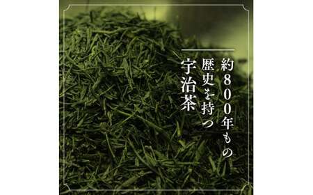 【12回定期便】宇治茶ペットボトル 500ml×24本 お茶ペットボトル