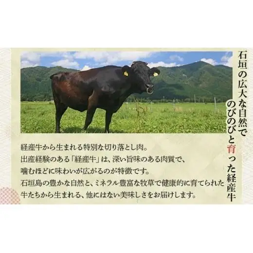 ＜わんの牛＞石垣島産経産黒毛和牛 切り落とし 250g×4袋 合計1kg NA-02